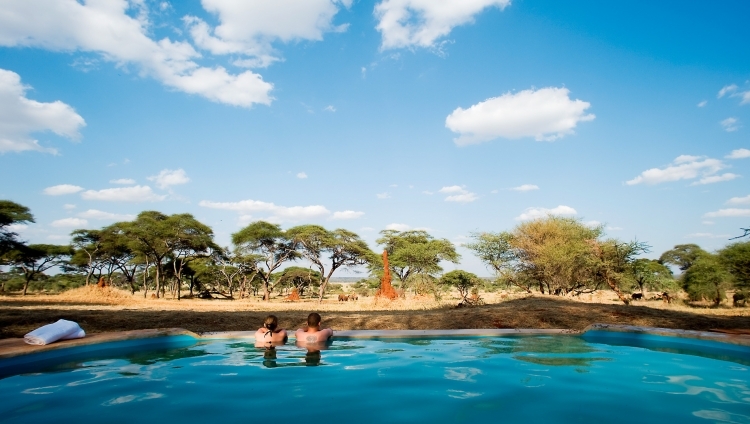 Swala Camp - Swimming Pool